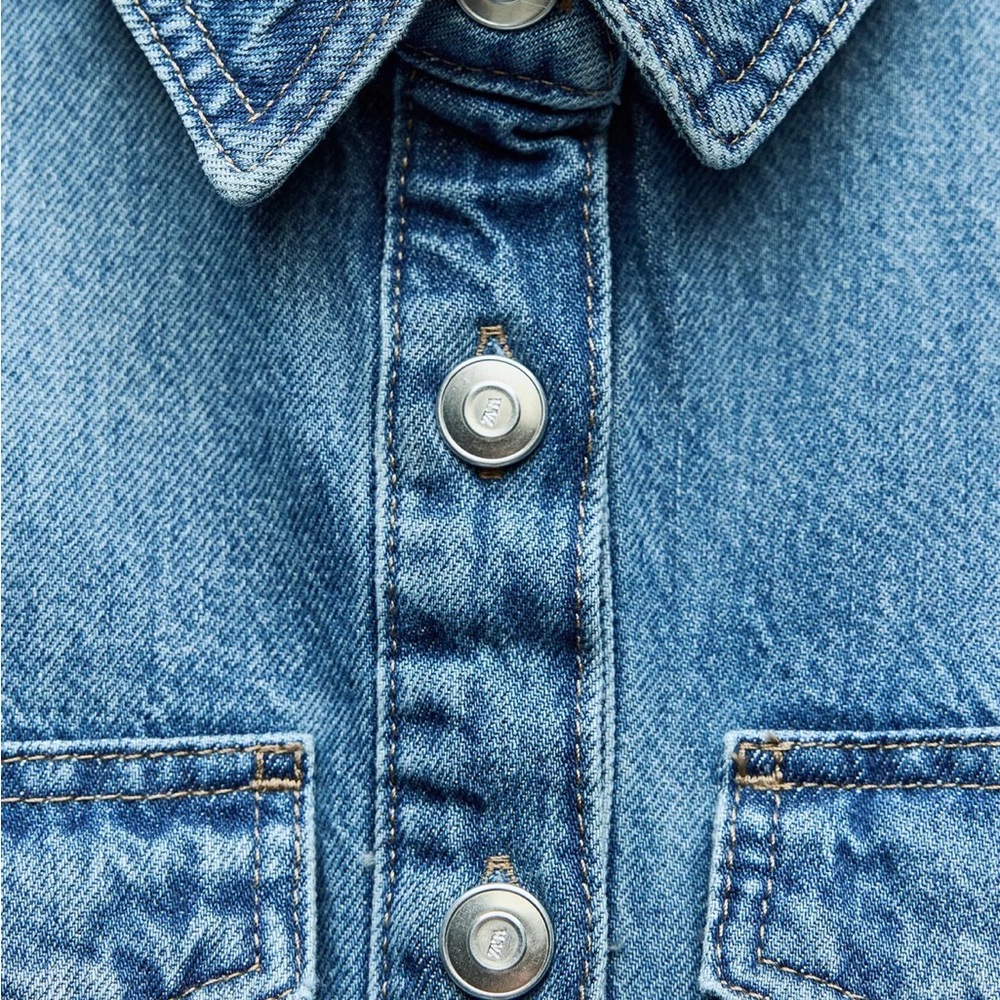Zara Denim Button-Down Dress